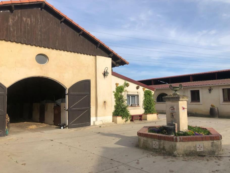 Logement Insolite Au Coeur D'Une Ecurie Arles Luaran gambar